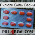 Пилюли Силы Весны 06